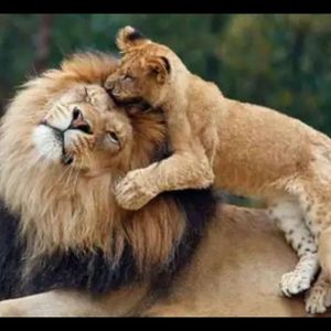 Meet your Posher, Ike